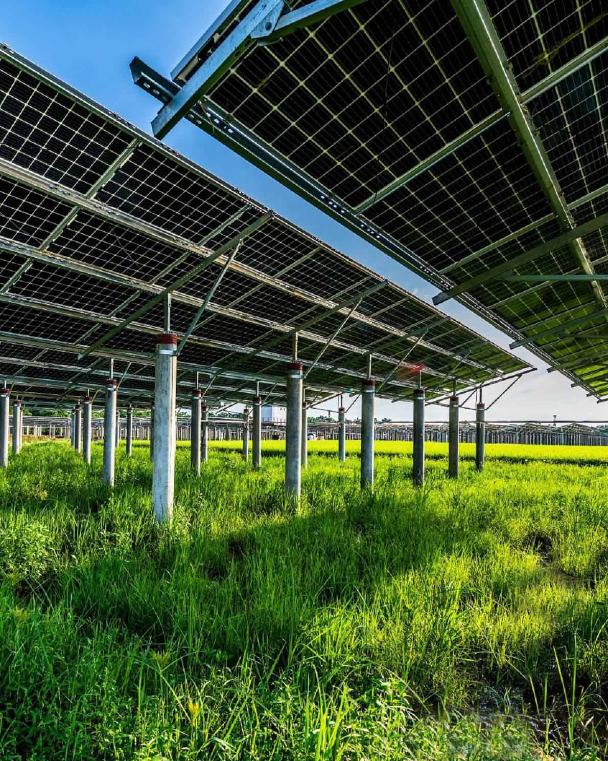 Power Generation Field in Italy